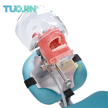 Стоматологический симулятор Manikdin Модель фантомного зуба для упражнений в стоматологической интернатуре Обучающая модель Съемные зубы из смолы Мягкие десны